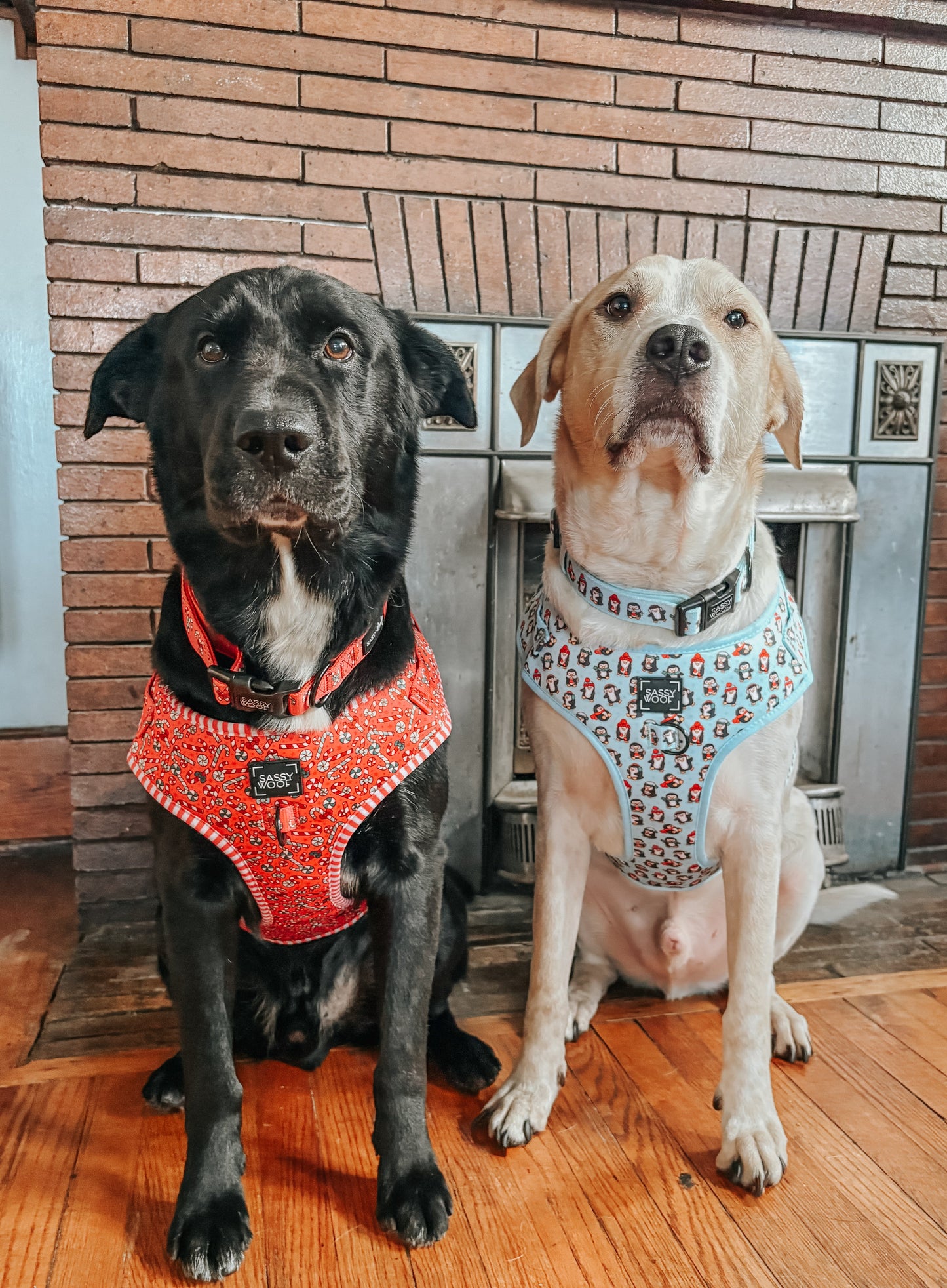 Dog Adjustable Harness - Winter Waddleland