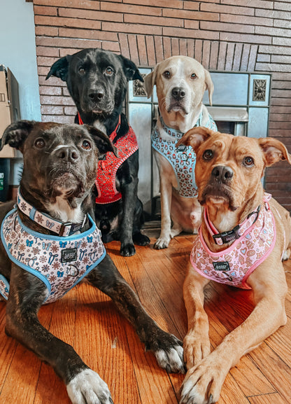 Dog Adjustable Harness - Dough My Goodness