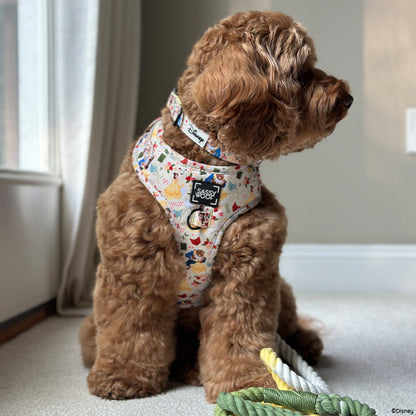 Harness Three Piece Bundle - Disney's Belle