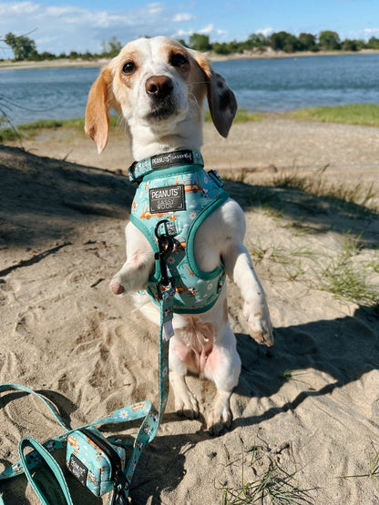 Dog Two Piece Bundle - Peanuts™ Road Tripping