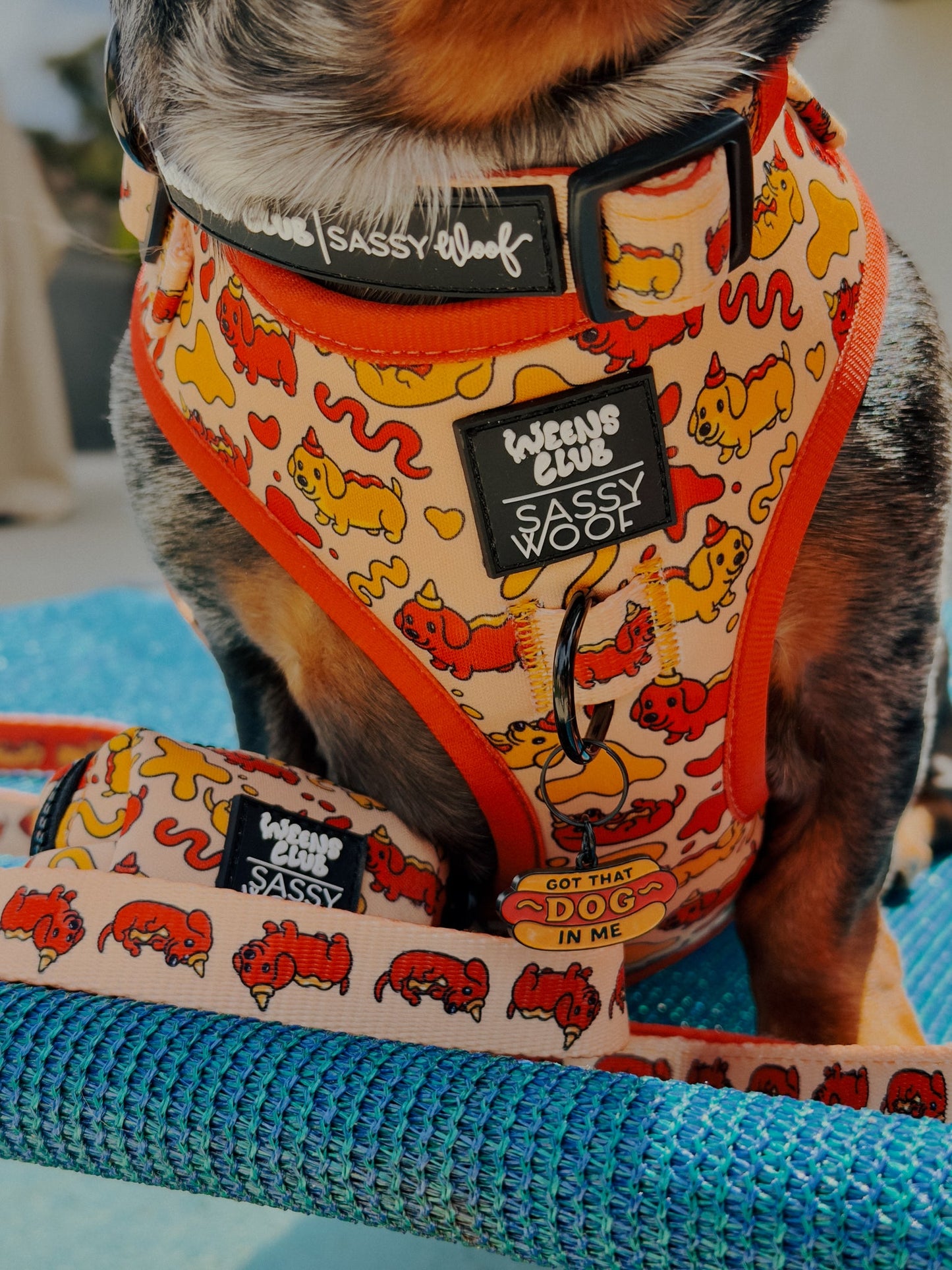 Dog Adjustable Harness - Hot Dawg