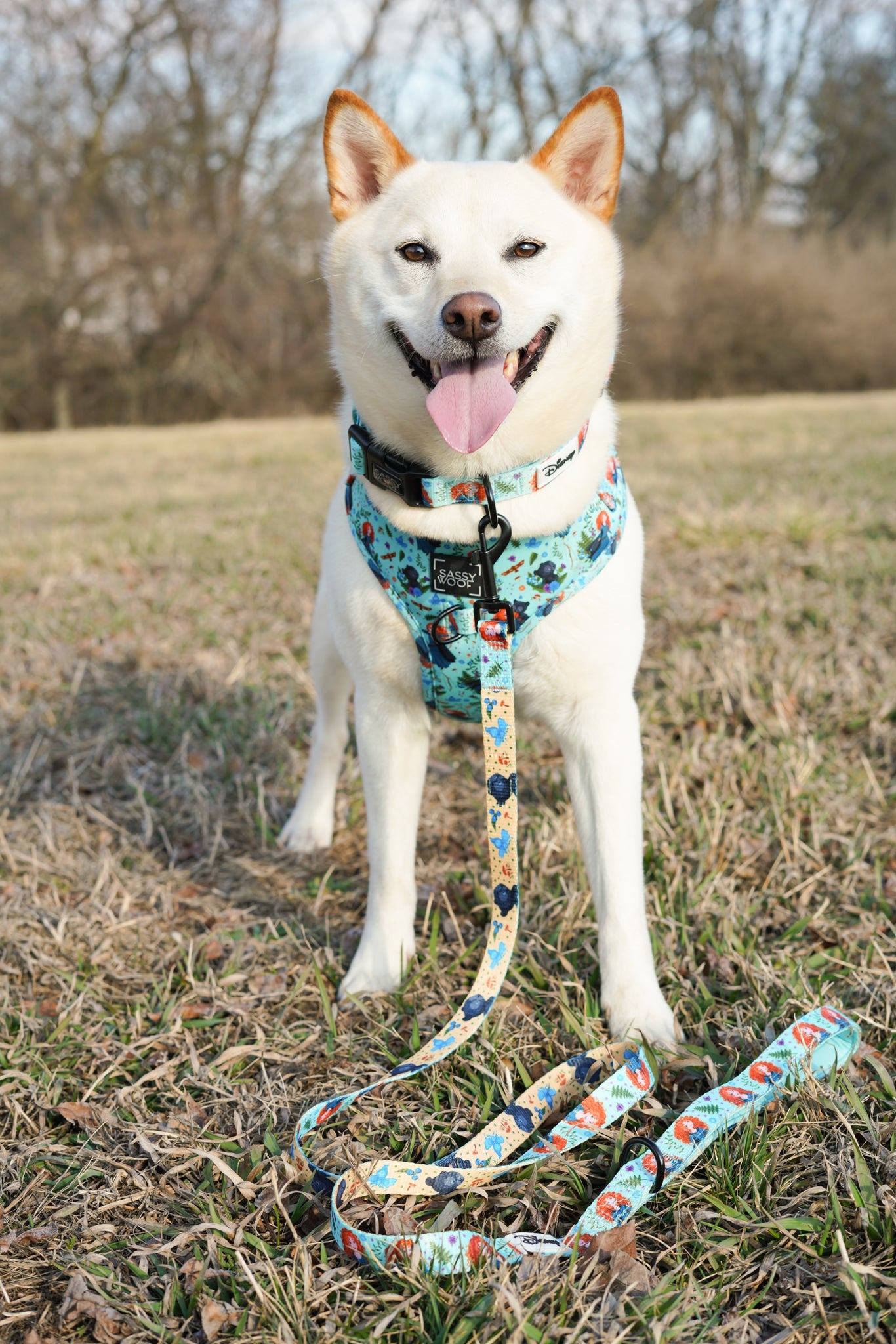 Dog Adjustable Harness - Disney's Merida