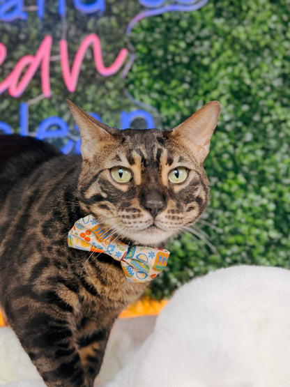 Cat Bowtie - Portofino