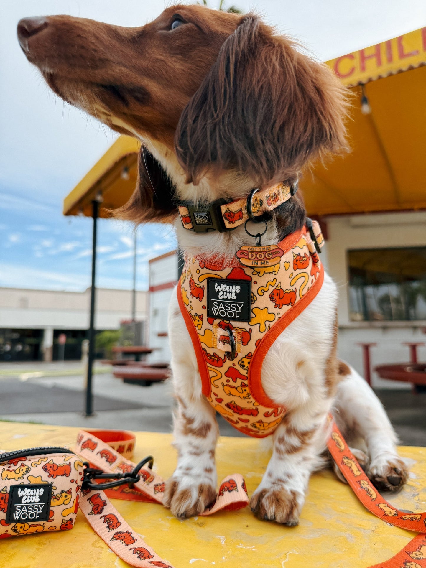 Dog Adjustable Harness - Hot Dawg