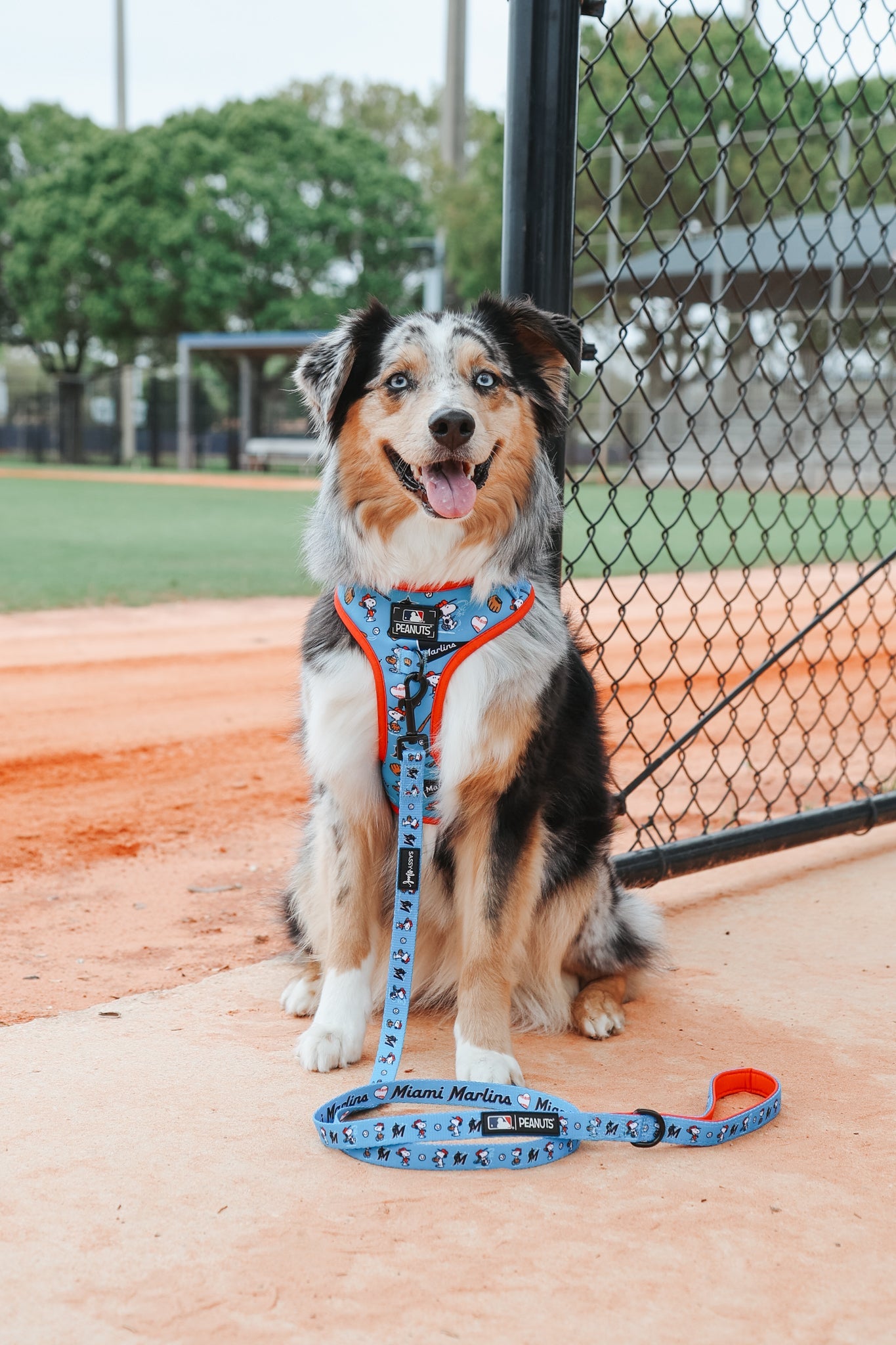 Dog Leash - MLB™ x Peanuts™ Miami Marlins™
