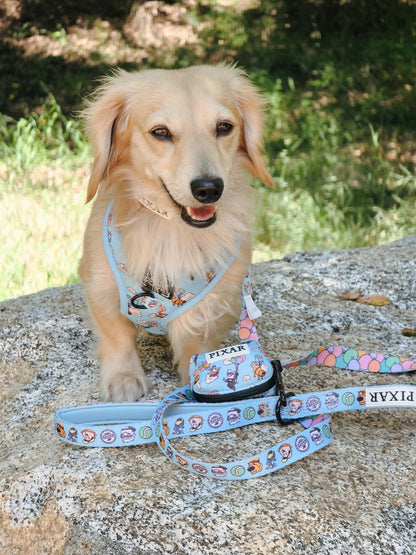 Dog Two Piece Bundle - Disney and Pixar's Up
