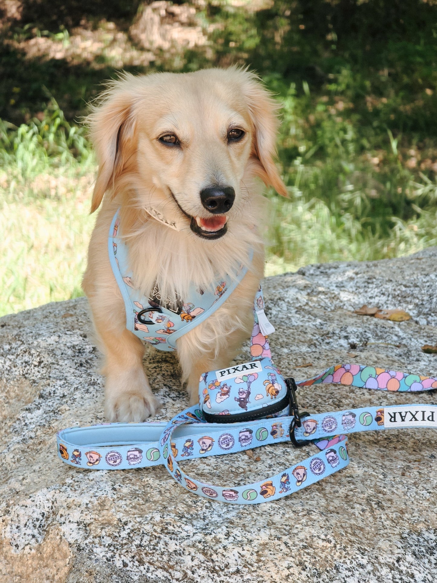 Dog Four Piece Bundle - Disney and Pixar's Up