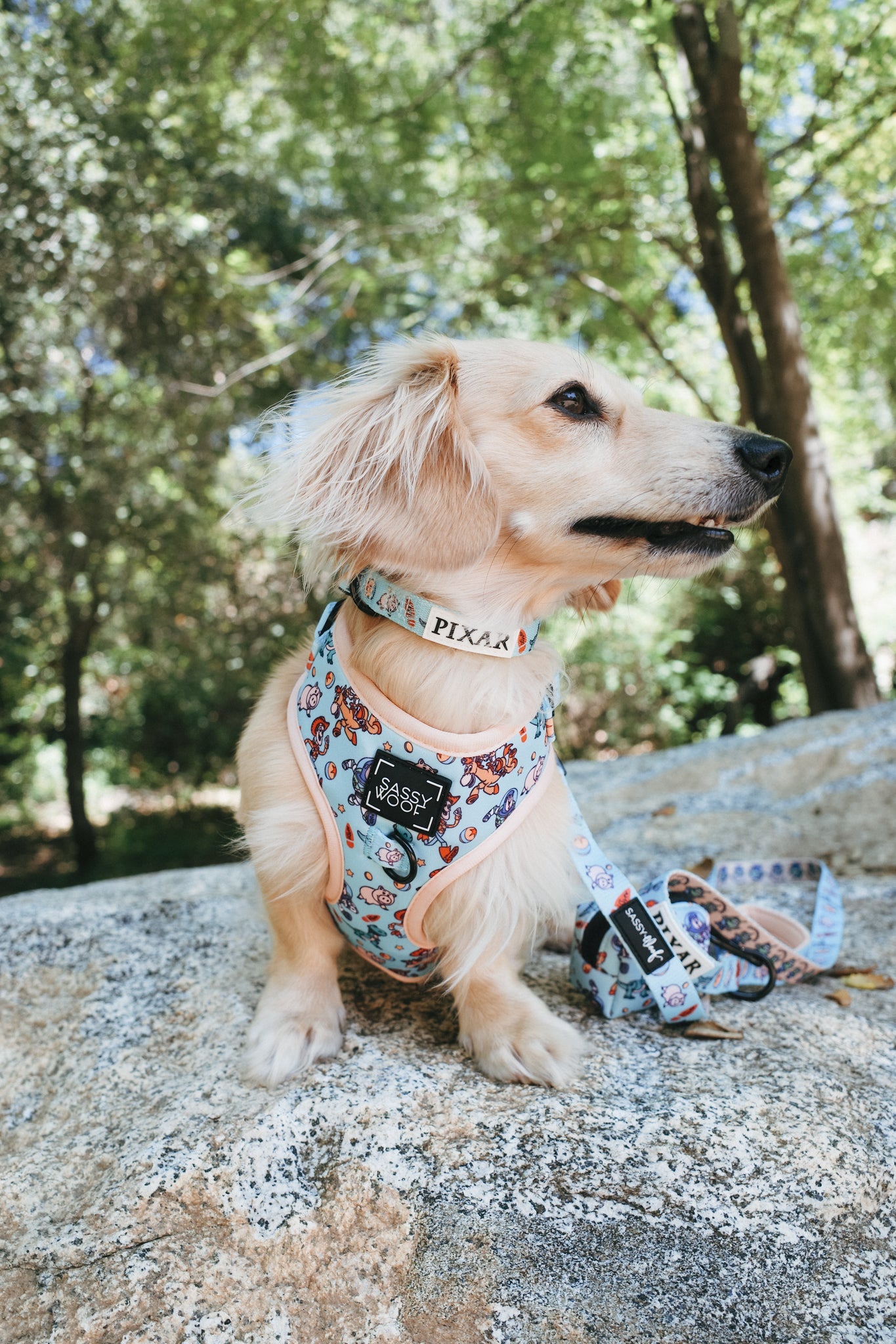 Dog Collar - Disney and Pixar's Toy Story