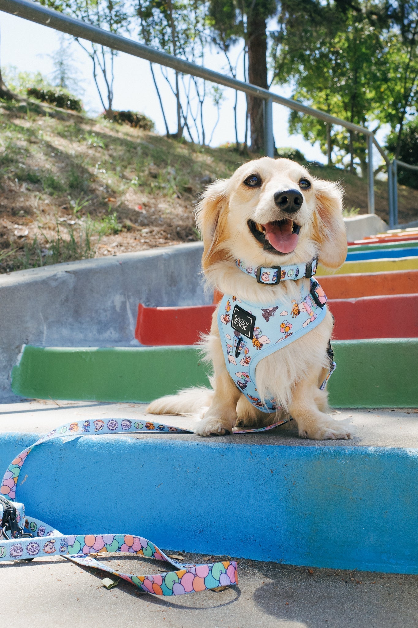 Dog Four Piece Bundle - Disney and Pixar's Up
