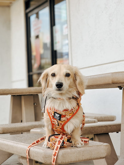 Dog Two Piece Bundle - Hot Dawg