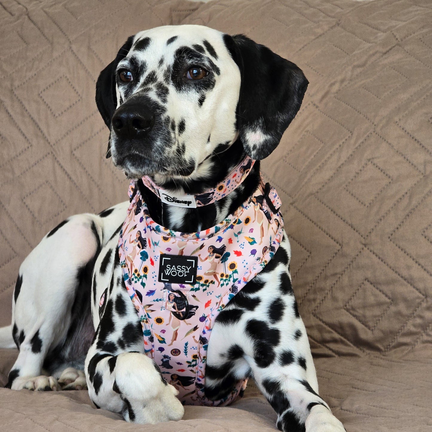 Dog Adjustable Harness - Disney's Pocahontas