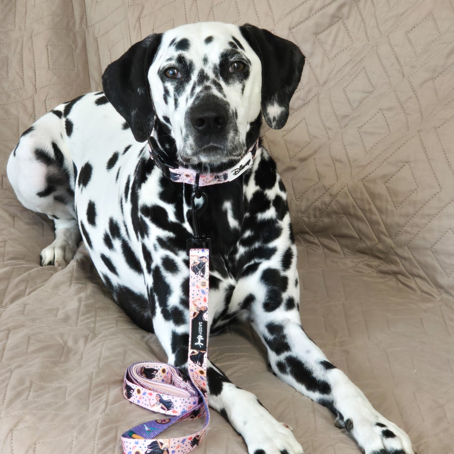 Dog Collar - Disney's Pocahontas