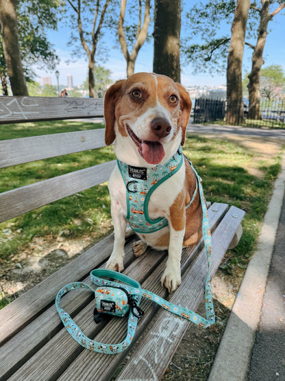 Dog Two Piece Bundle - Peanuts™ Road Tripping