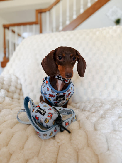 Dog Four Piece Bundle - Coastal Cuties