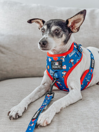 Harness Three Piece Bundle - MLB™ x Peanuts™ Toronto Blue Jays™