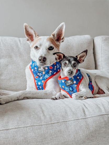 Harness Three Piece Bundle - MLB™ x Peanuts™ Toronto Blue Jays™