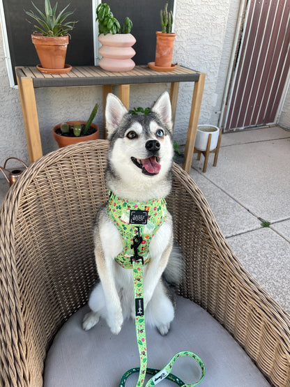Dog Leash - Disney's Tiana