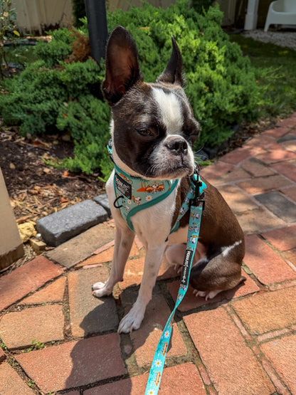 Dog Leash - Peanuts™ Road Tripping