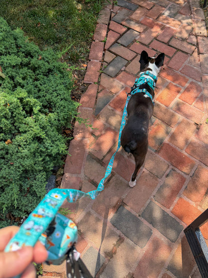 Dog Leash - Peanuts™ Road Tripping