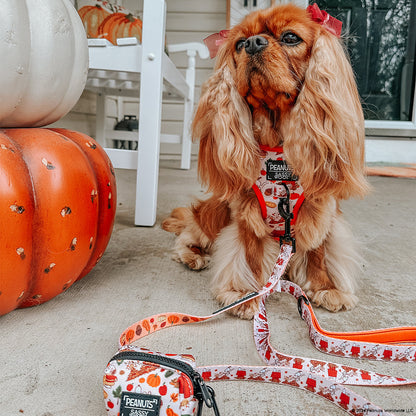 Dog Waste Bag Holder - Peanuts™ Harvest