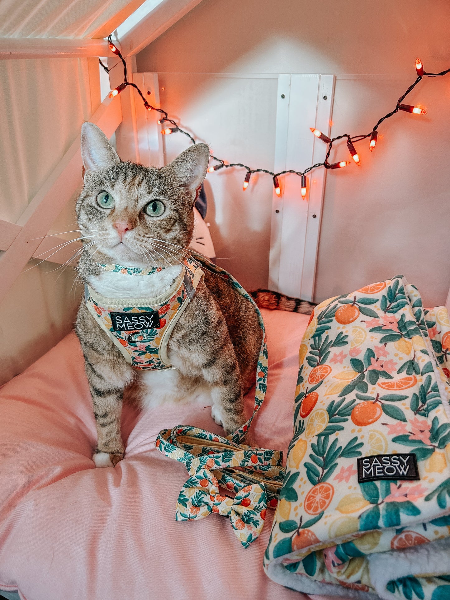 Pet Blanket - Zest Friends