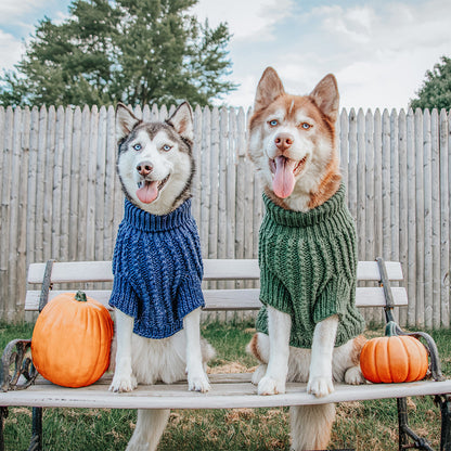 Pet Cable Knit Sweater - Navy