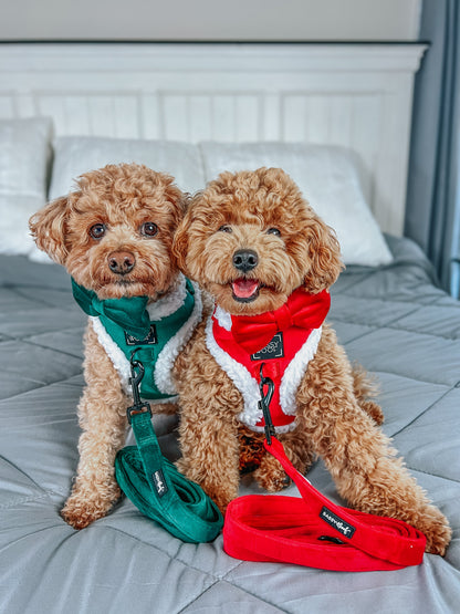 Dog Three Piece Bundle - Nice