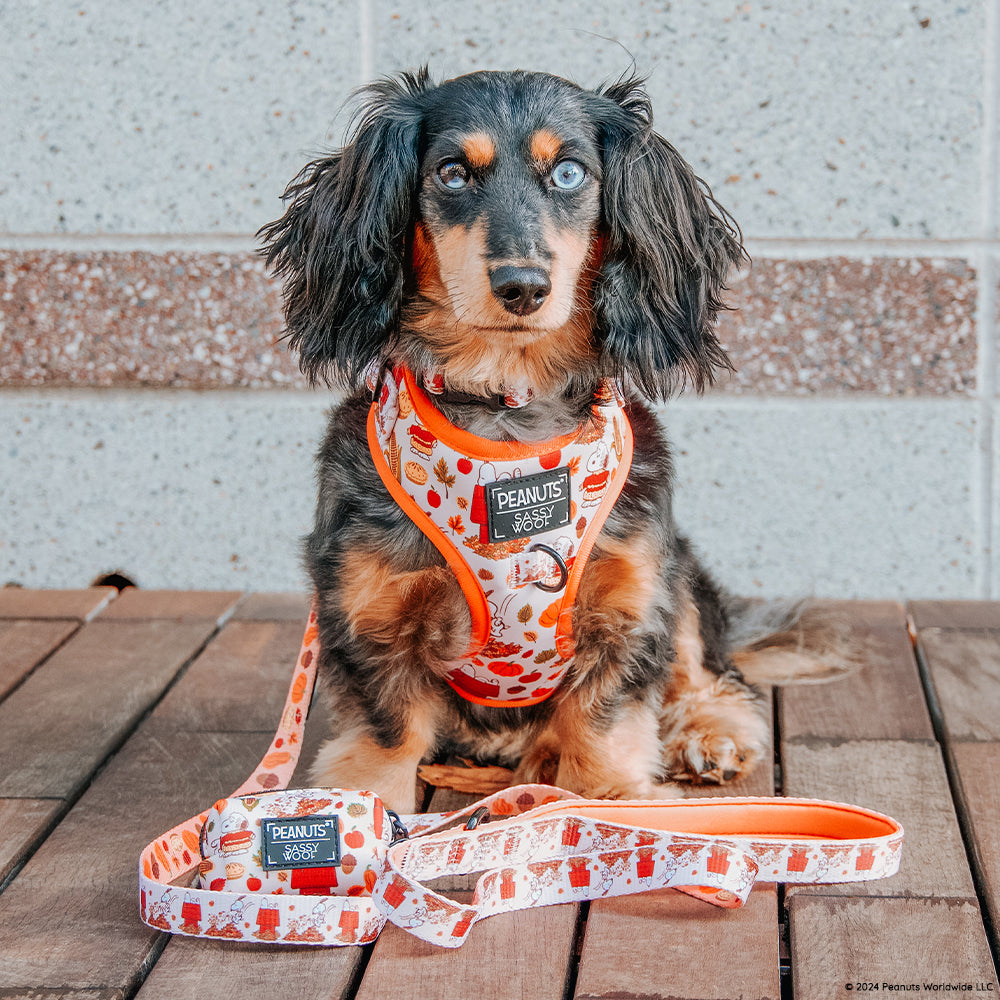Dog Waste Bag Holder - Peanuts™ Harvest