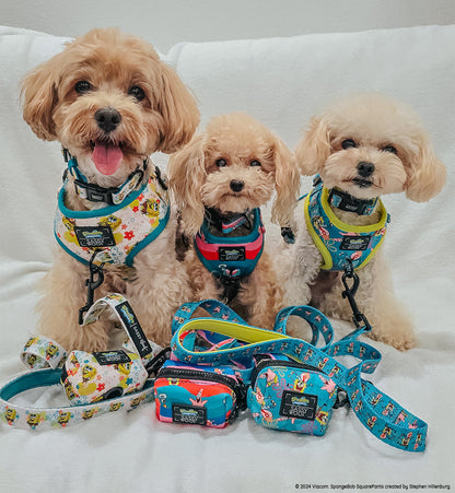 Dog Collar - SpongeBob SquarePants™ Bikini Bottom
