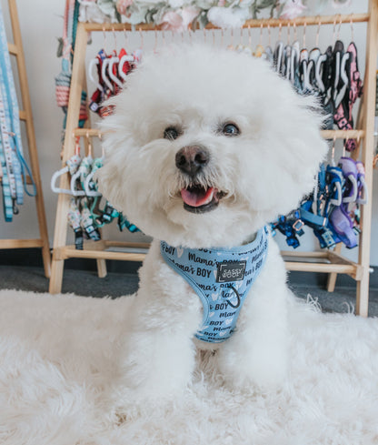 Dog Two Piece Bundle - Mama's Boy