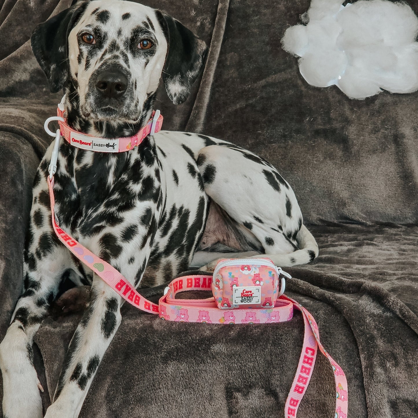 Dog Collar Three Piece Bundle - Care Bears™ Cheer Bear
