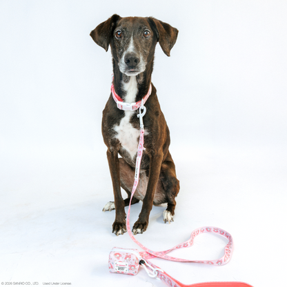 Dog Leash - My Melody™