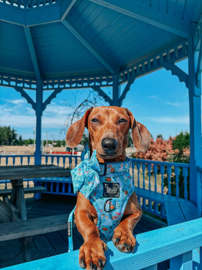Dog Sailor Bow - Disney's Cinderella