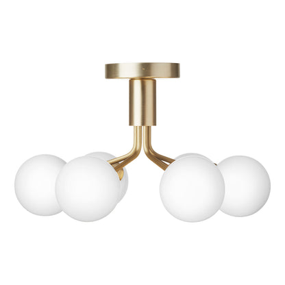 Apiales 6 Ceiling Fixture
