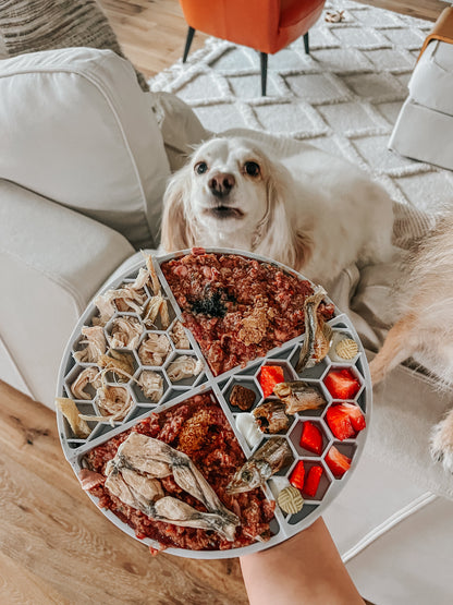 Dog Lick Mat