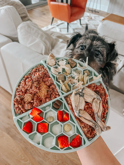 Dog Lick Mat