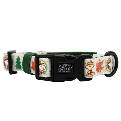 Dog Four Piece Bundle - Peanuts™ Beagle Scouts