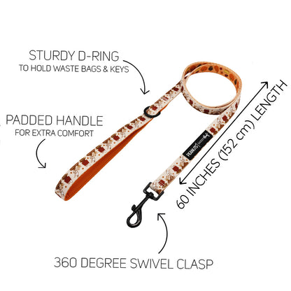 Dog Collar Three Piece Bundle - Peanuts™ Harvest