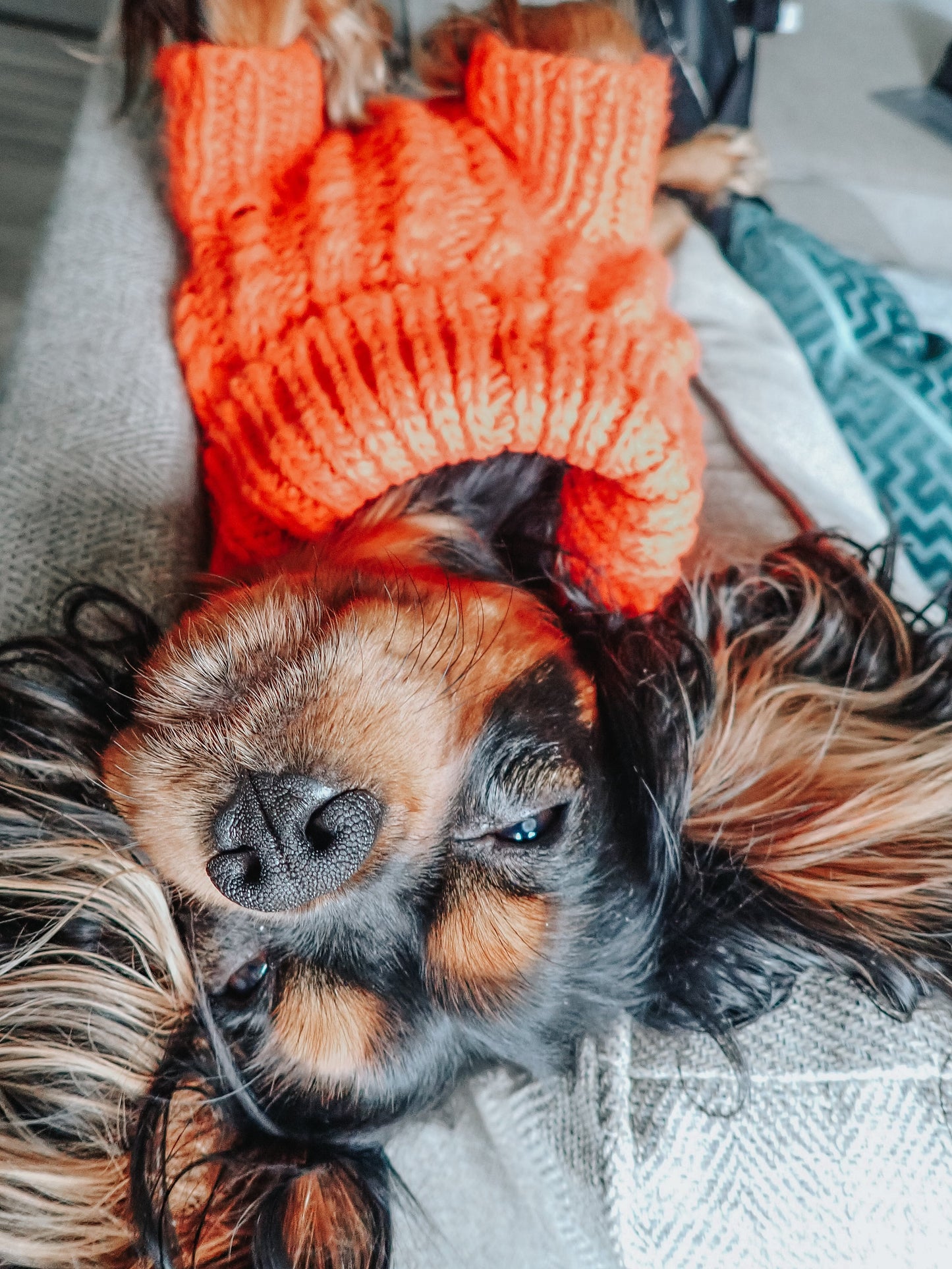 Pet Cable Knit Sweater - Orange