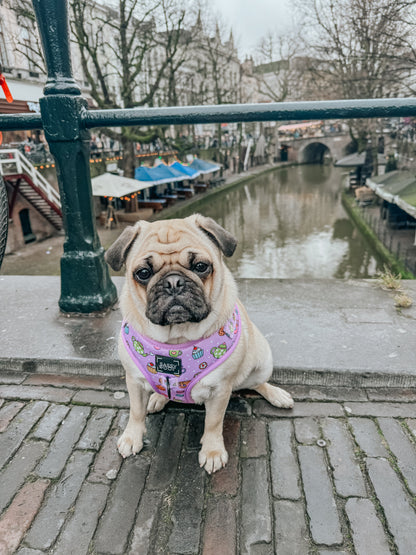 Dog Adjustable Harness - Tea Pawty