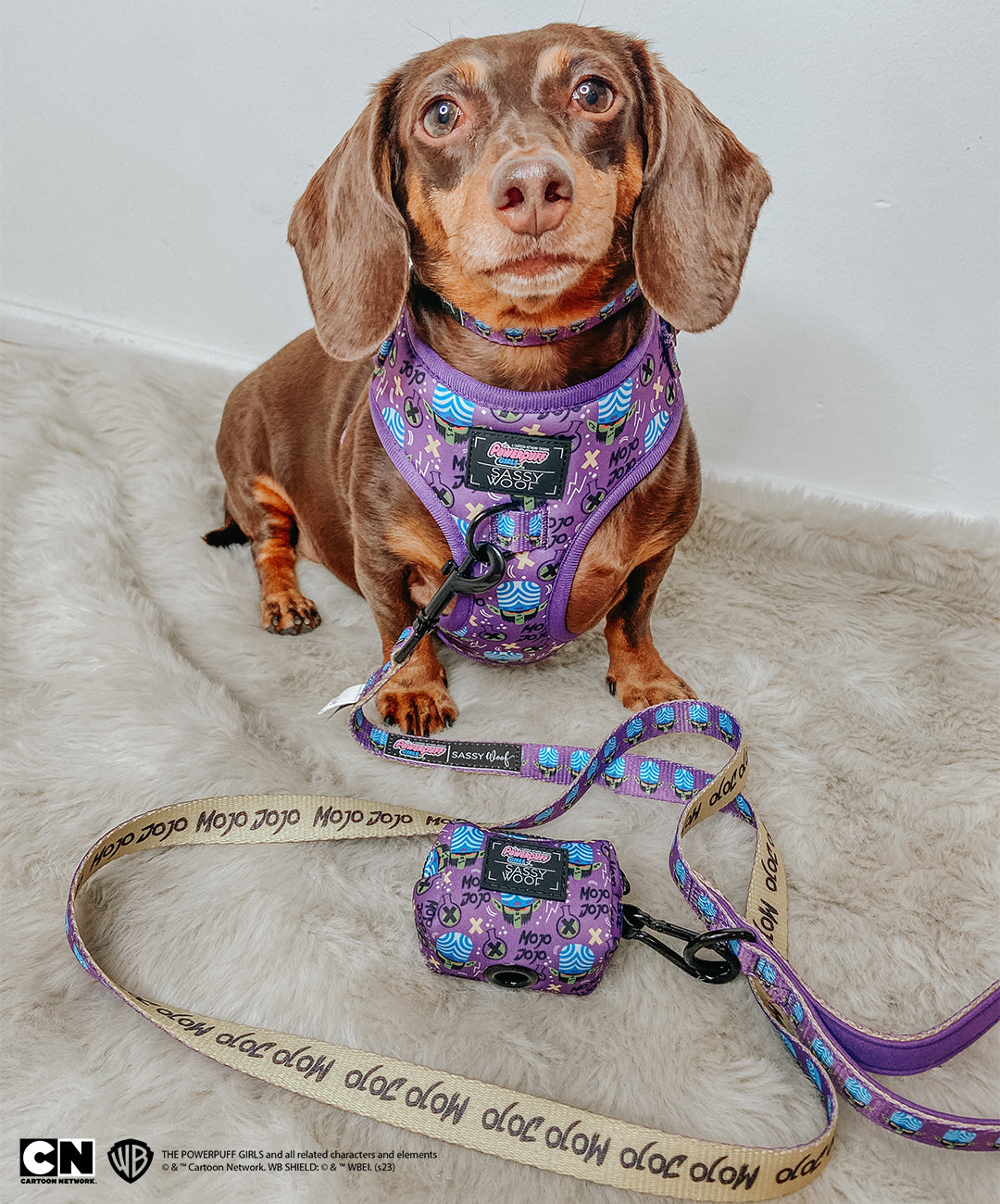 Dog Four Piece Bundle - Mojo Jojo™