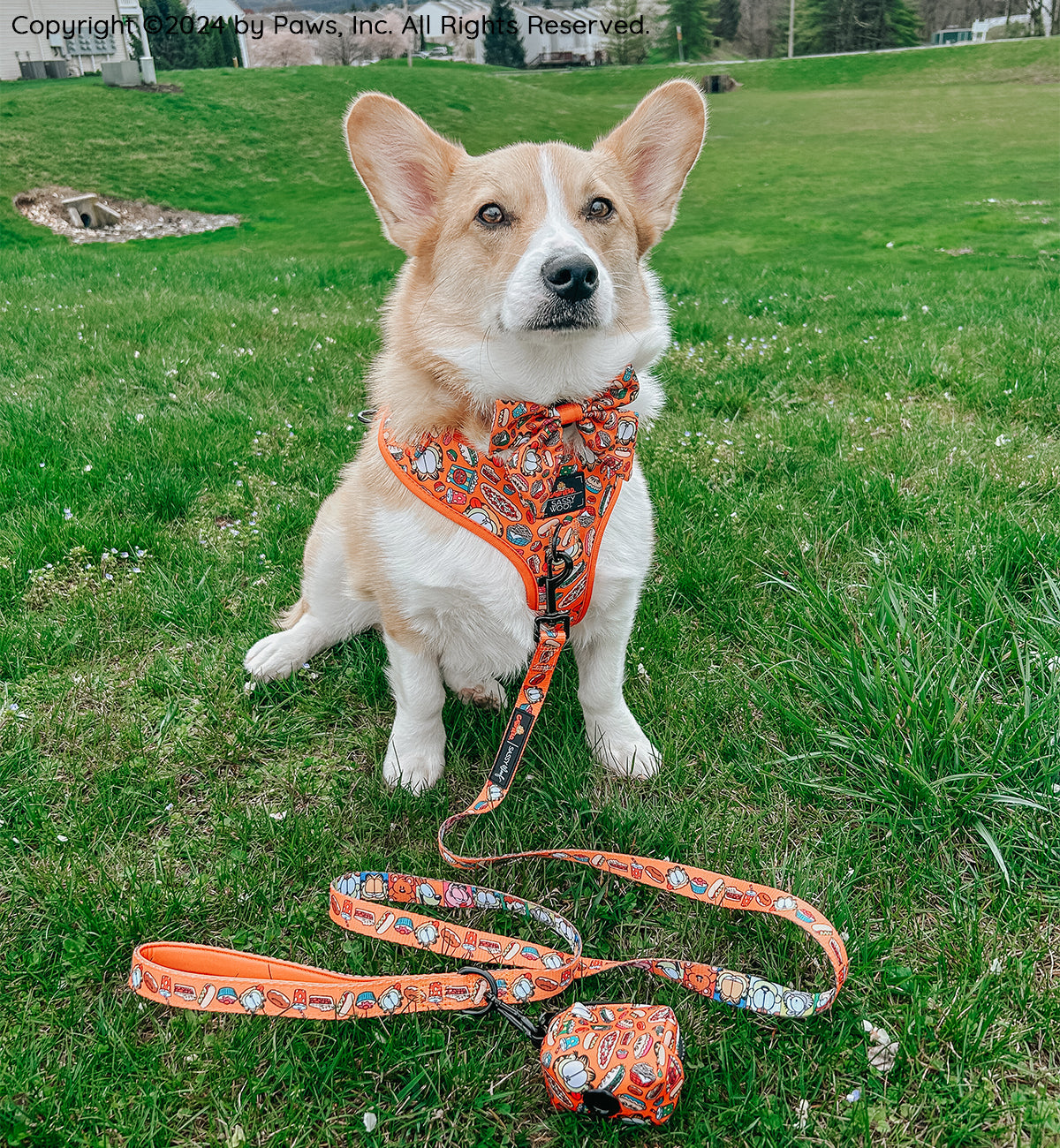 Dog Four Piece Bundle - Garfield™