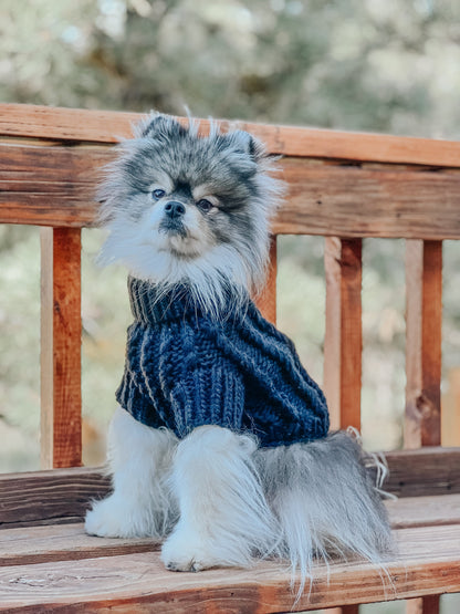 Pet Cable Knit Sweater - Navy