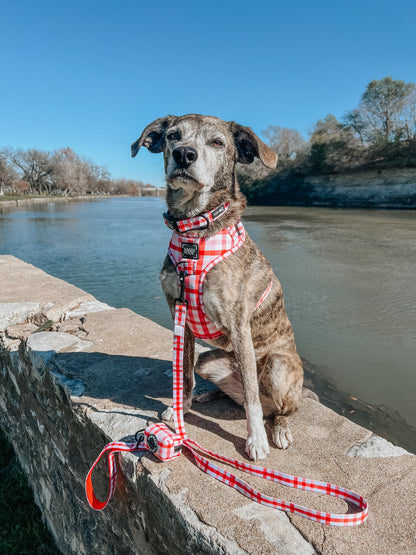Dog Collar - Picnic Fur Two