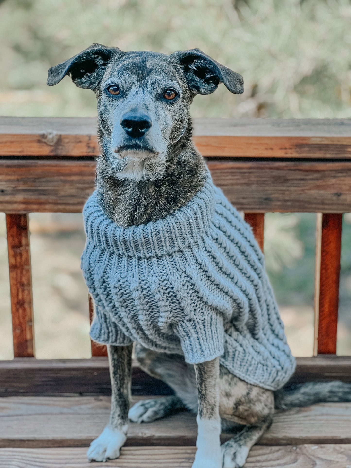 Pet Cable Knit Sweater - Gray