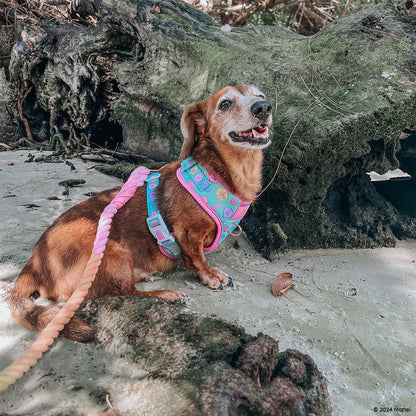 Dog Adjustable Harness - Polly Pocket™