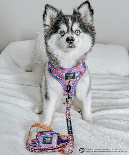 Dog Leash - Willy Wonka & The Chocolate Factory™