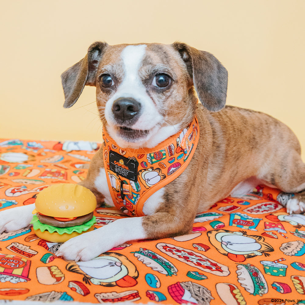 Dog Four Piece Bundle - Garfield™