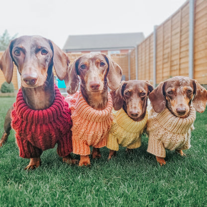 Pet Cable Knit Sweater - Yellow