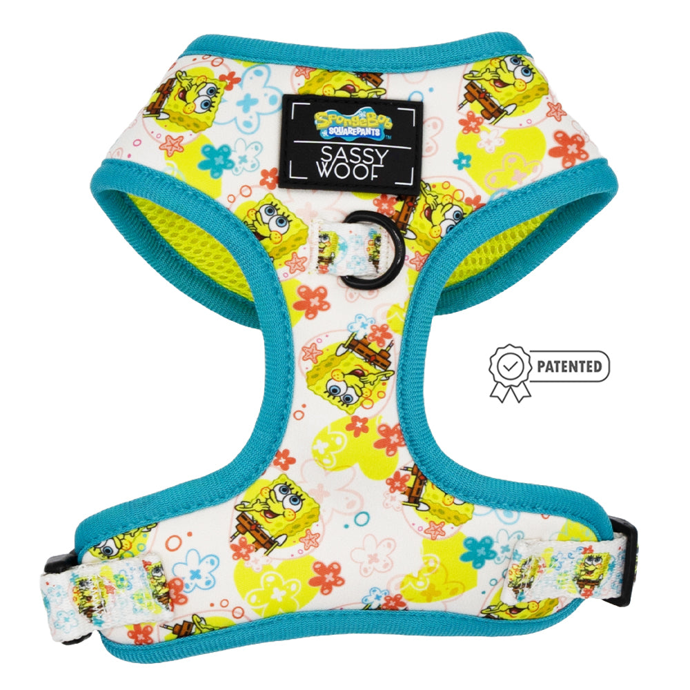 Dog Four Piece Bundle - SpongeBob SquarePants™ Bikini Bottom